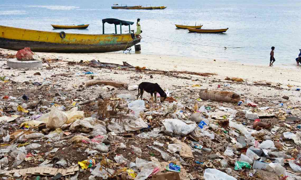 Waste on an Andaman beach